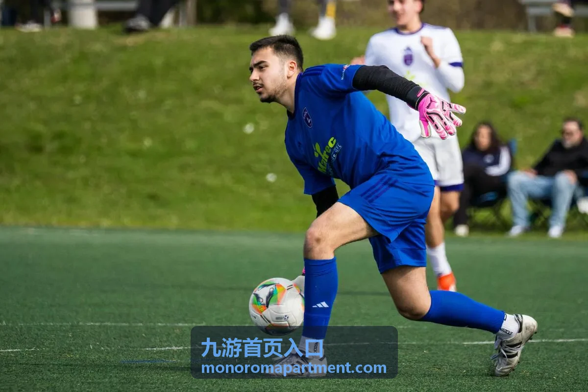 九游首页入口的阵容搭配与关卡推进要点